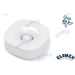 DETECTEUR DE MOUVEMENT