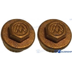 BOUCHON MALE 1/2" (2)