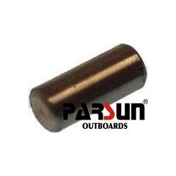 PIN