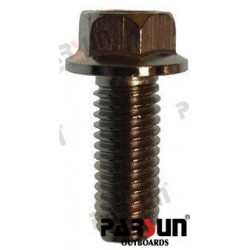 VIS DE VIDANGE M8X20MM