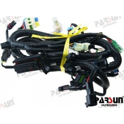 FAISCEAU MOTEUR DELFI