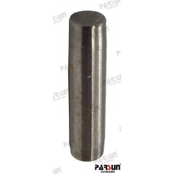 PIN D4X16.5MM