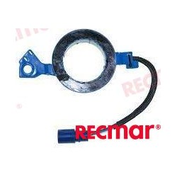 TIGGER JOHNSON EVINRUDE 4 CYL