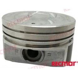 PISTON: 262,350 0,30