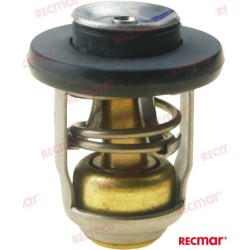 THERMOSTAT 60