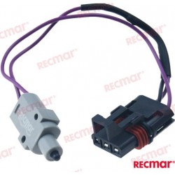 MICRORUPTEUR
