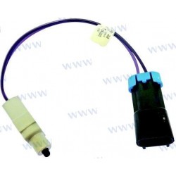 MICRORUPTEUR