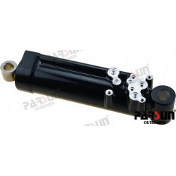 ENSEMBLE PISTON DE VERIN DE...