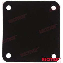 JOINT PLAQUE DE COLLECTEUR