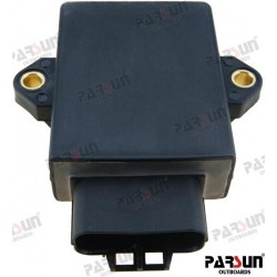 ECU UNIT POUR MODELES BW/FW