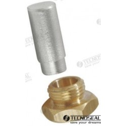 ANODE RENAULT AVEC BOUCHON...