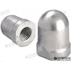 ANODE RENAULT 40MM.