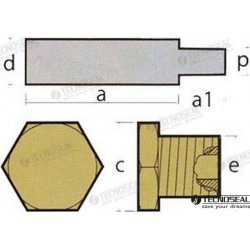 ANODE CUMMINS AVEC BOUCHON