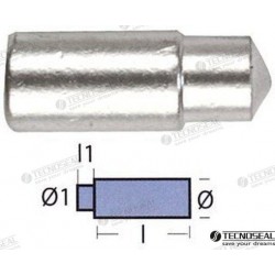 ANODE BUKH 10MM