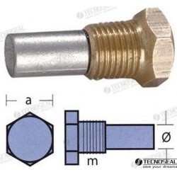 ANODE BUKH AVEC BOUCHON