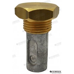 ANODE RENAULT AVEC BOUCHON
