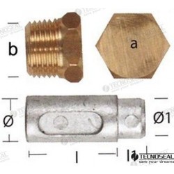 ANODE LOMBARDINI AVEC BOUCHON