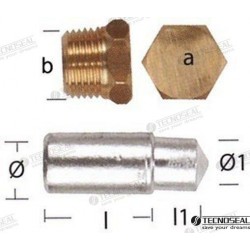 ANODE LOMBARDINI AVEC BOUCHON