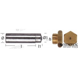 ANODE LOMBARDINI D15MM