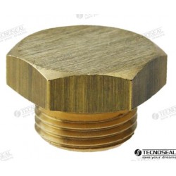 BOUCHON POUR ANODE LOMBARDINI