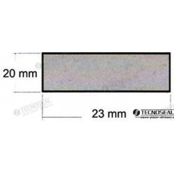 ANODE RUGGERINI D20MM