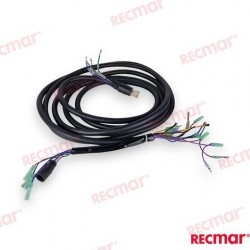 EXTENSION HARNAIS (6M)
