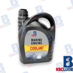 ANTIGEL JAUNE 5L (3)