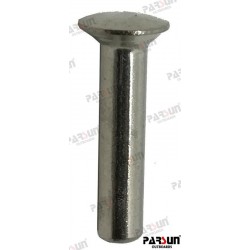 RIVET