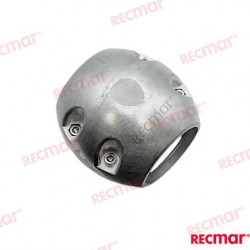 NOIX D'ARBRE STD 2-1/2" (ZN)